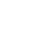 The Cleaning Pros